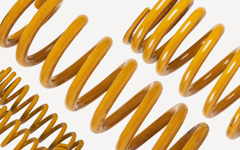 Tough Dog Rear Coil Springs (Pair)  0-300kg for 90 Series Prado 40mm lift