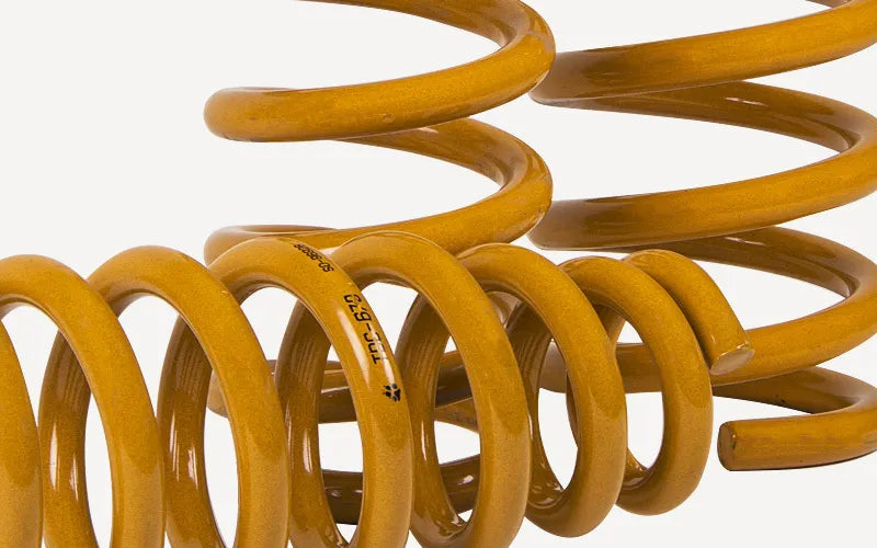 Tough Dog Rear Coil Springs (Pair)  0-300kg for 90 Series Prado 40mm lift