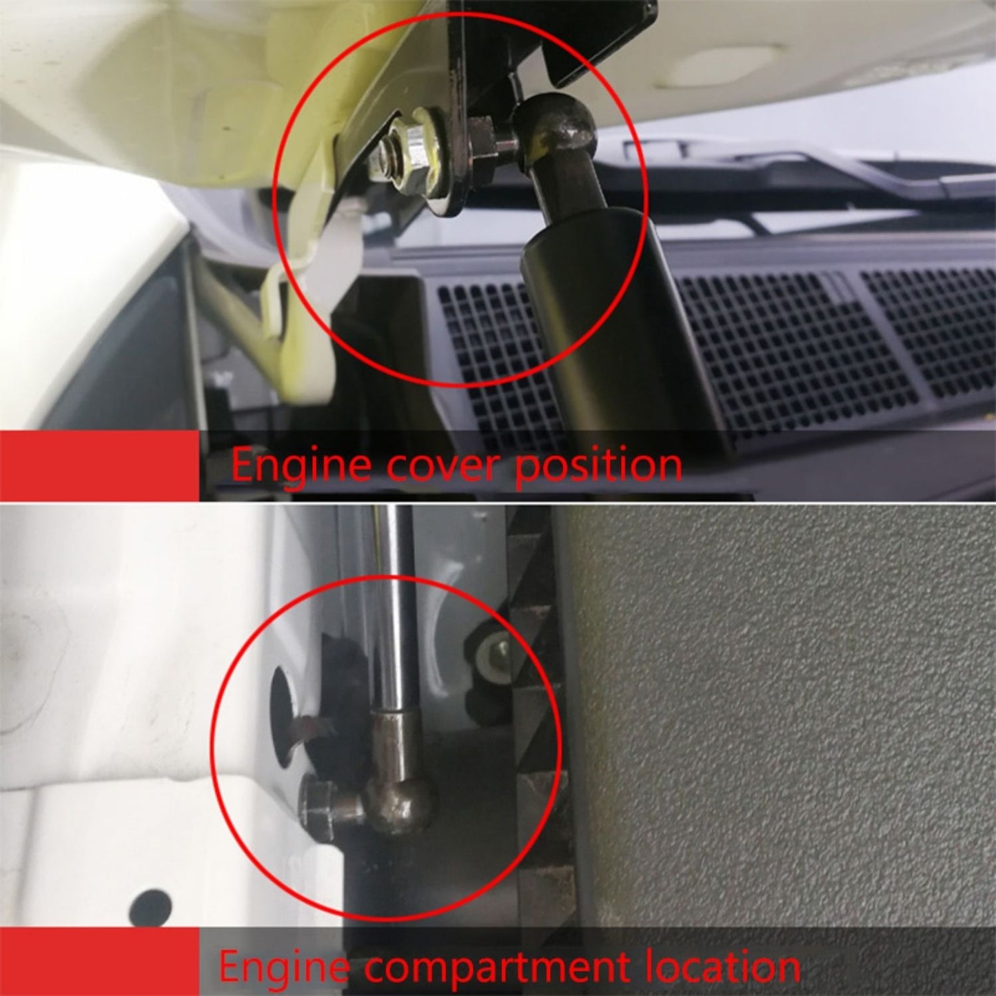 Dmax Bonnet Hood Lift Supports Struts Shocks