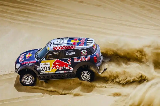 What is Rally Raid?