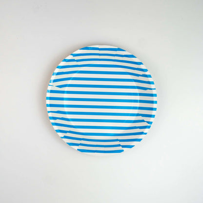 Blue Disposable Paper Plates For Outdoor & Indoor Events