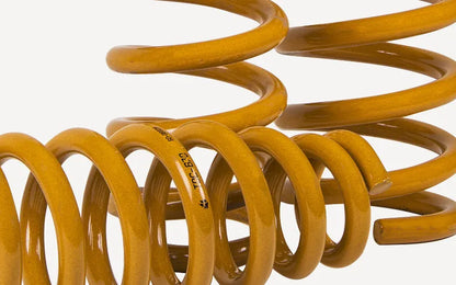 Tough Dog 0-300kg Rear Coil Springs Pair for 3rd Generation Hilux Surf 40mm lift 1996-2002