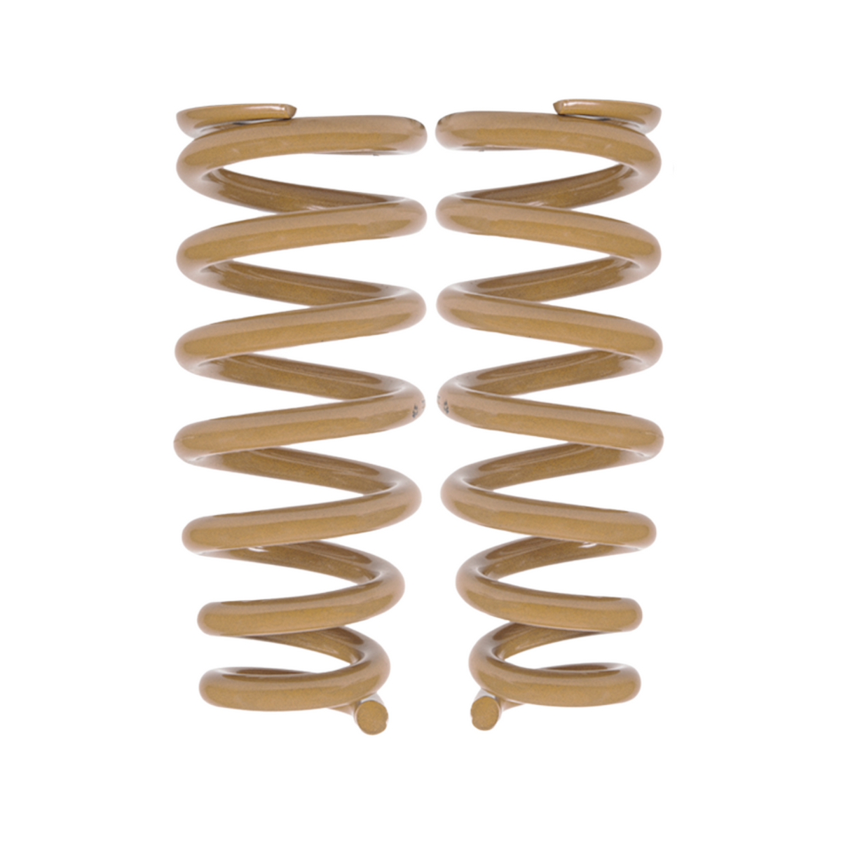 Tough Dog Front Coil Springs Pair - TDC 974