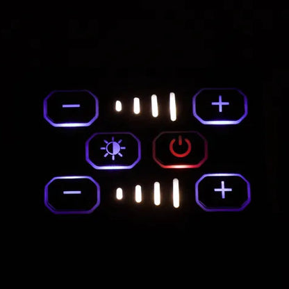 Kings Plus Lethal Pro Wiring Harness and Remote Controller